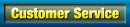 Customer Service